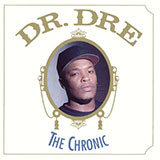 Dr. Dre - The Chronic (Intro)